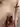 Bussy