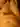 PolGf
